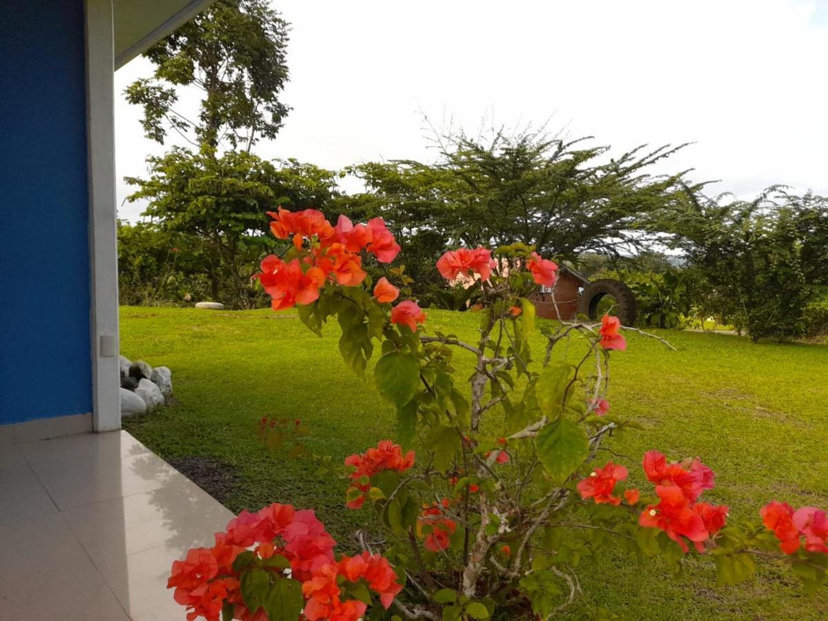 Casa De Campo Heliconia La Fortuna Kültér fotó
